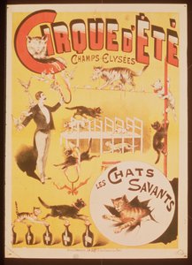 Poster pubblicitario del Cirque d